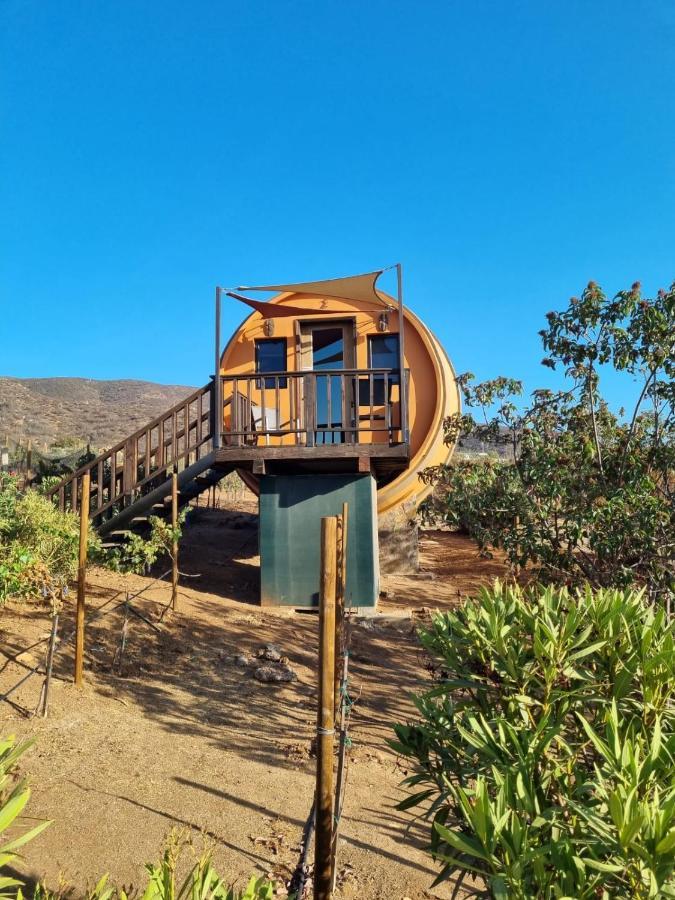 Finca El Mirador Валье-де-Гуадалупе Экстерьер фото