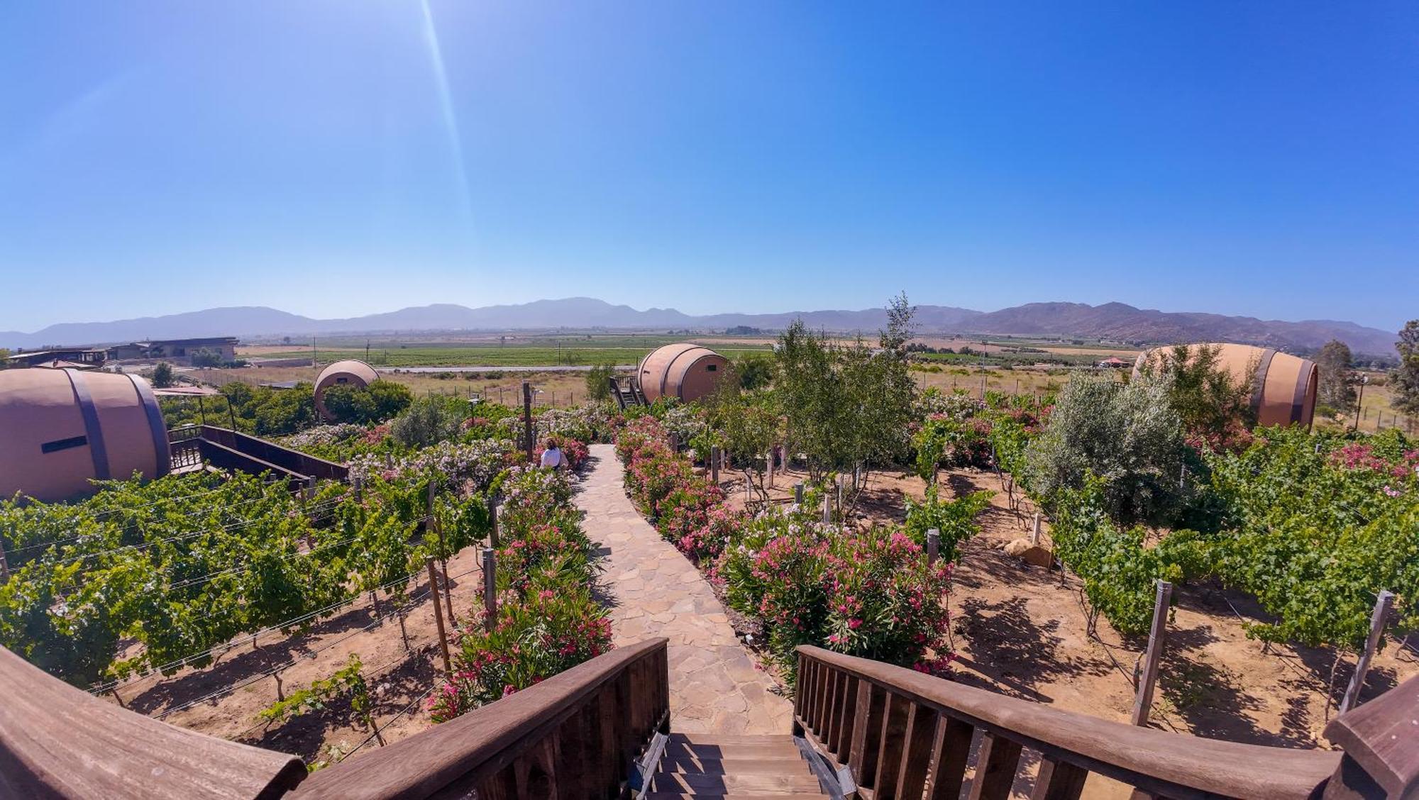 Finca El Mirador Валье-де-Гуадалупе Экстерьер фото